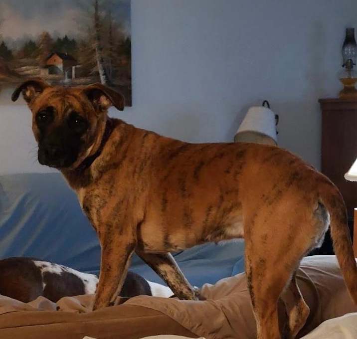 Photo of Emmy