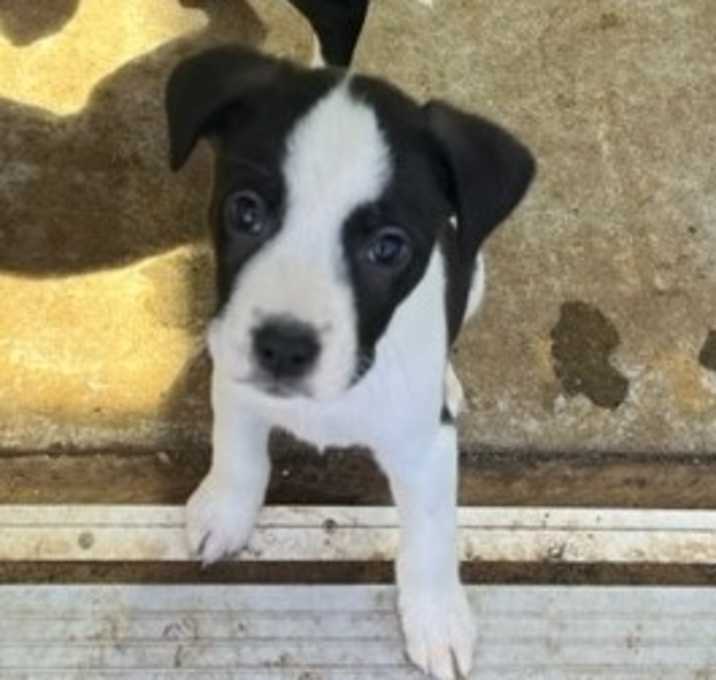 Photo of Jack