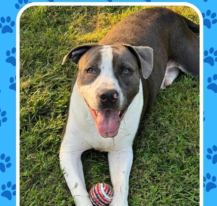 Photo of Champ