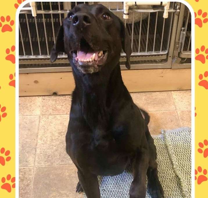 Photo of Duke