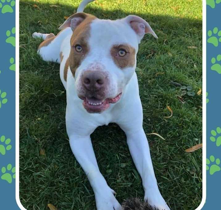 Photo of Benny