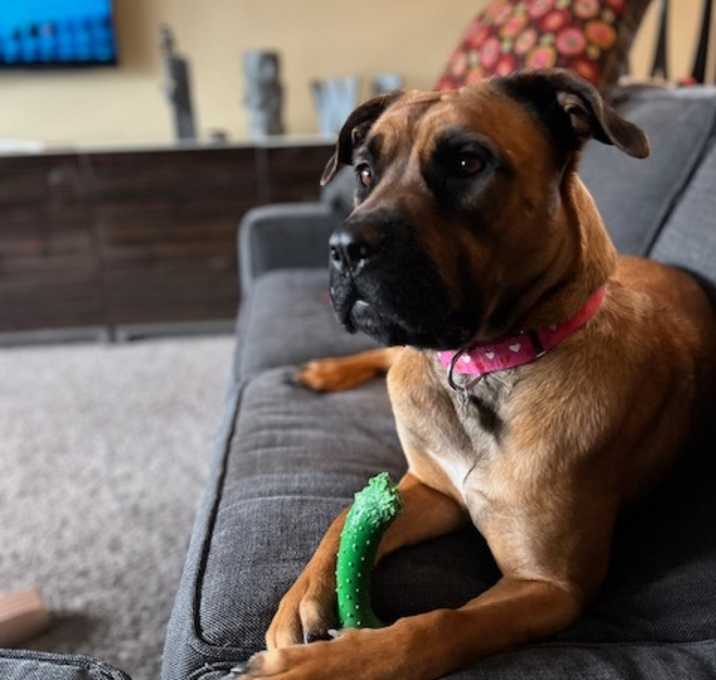 Photo of Heidi