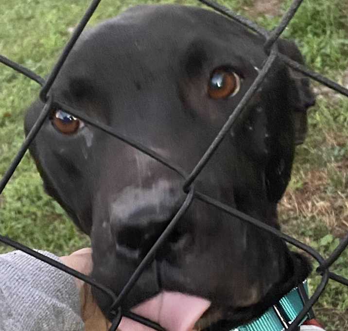 Photo of Ace