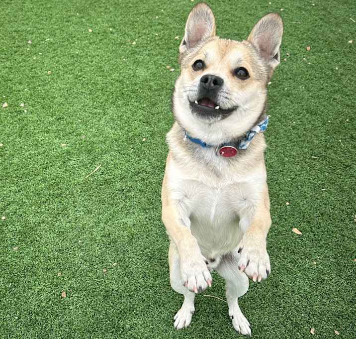 Photo of Maverick 