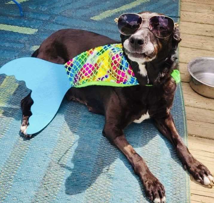 Photo of Stacy’s Mom