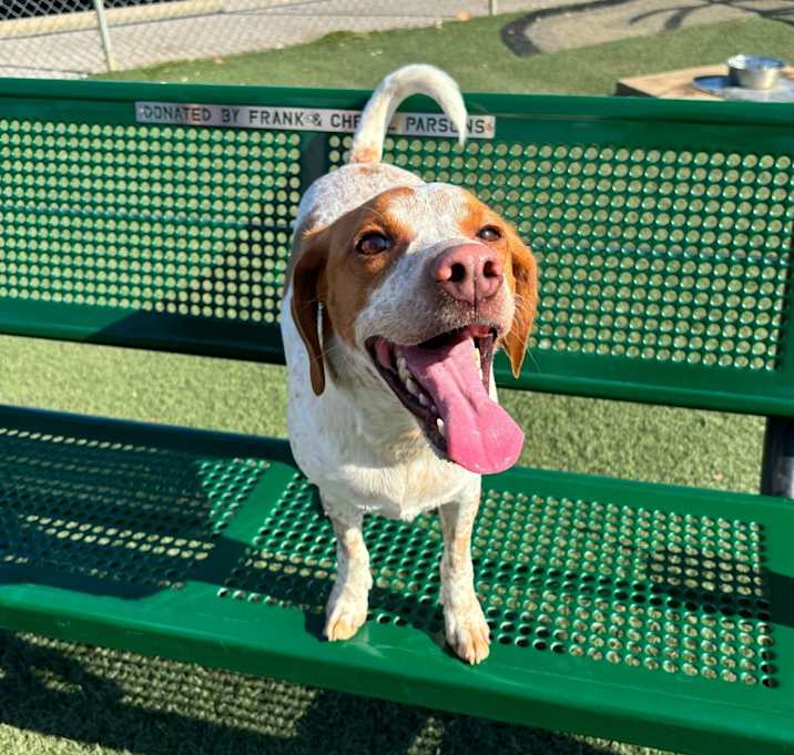 Photo of Daisy