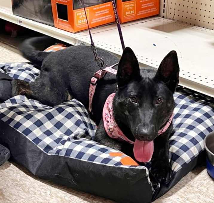 Photo of Daisy Mae