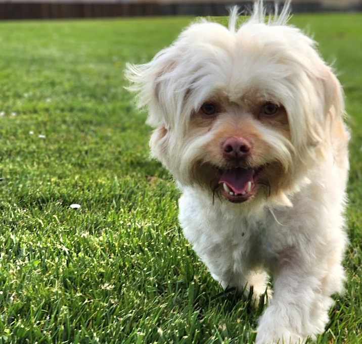 Photo of Gregarious Georgie
