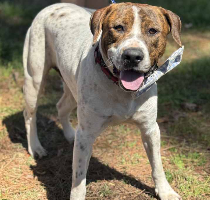 Photo of MAXIMUS