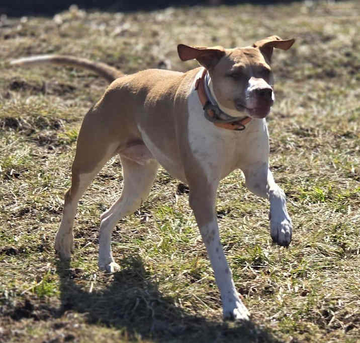 Photo of Benny