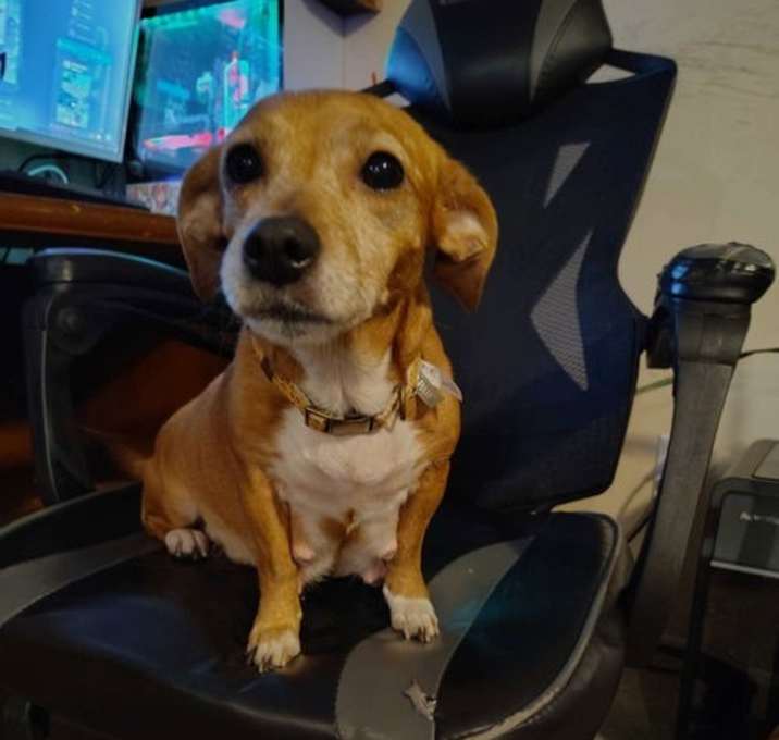 Photo of Hazel