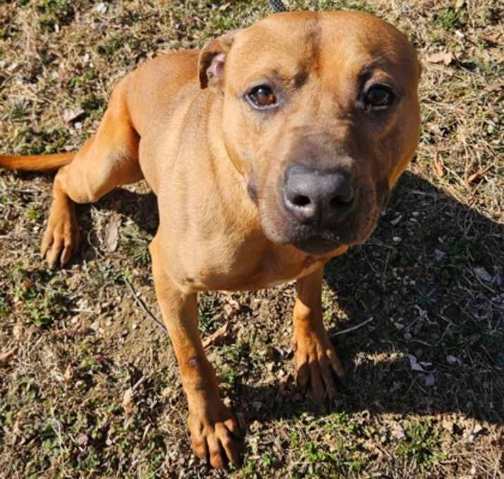 Photo of Bourbon