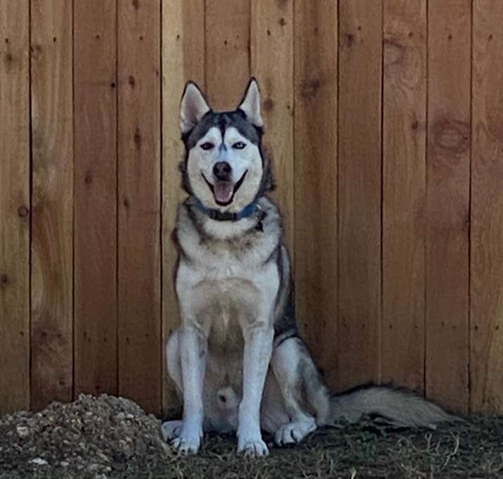 Photo of Cerberus