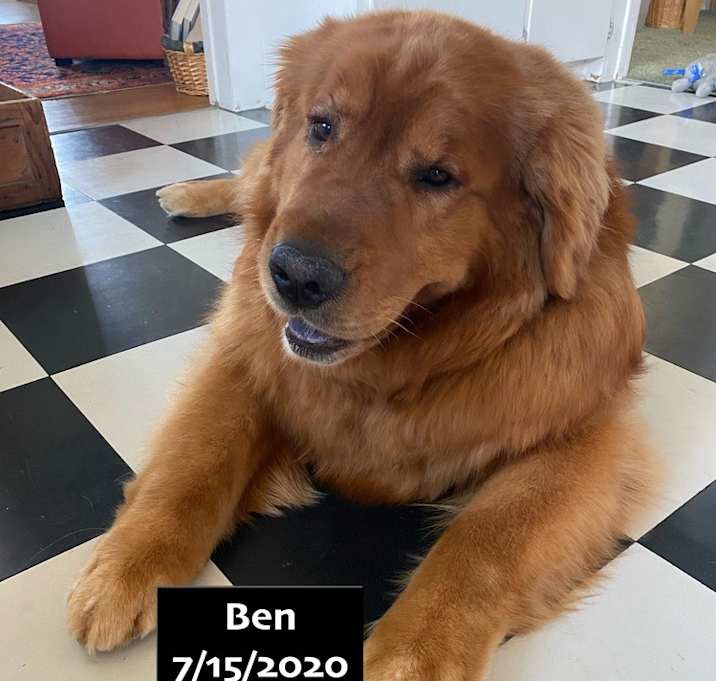 Photo of Ben