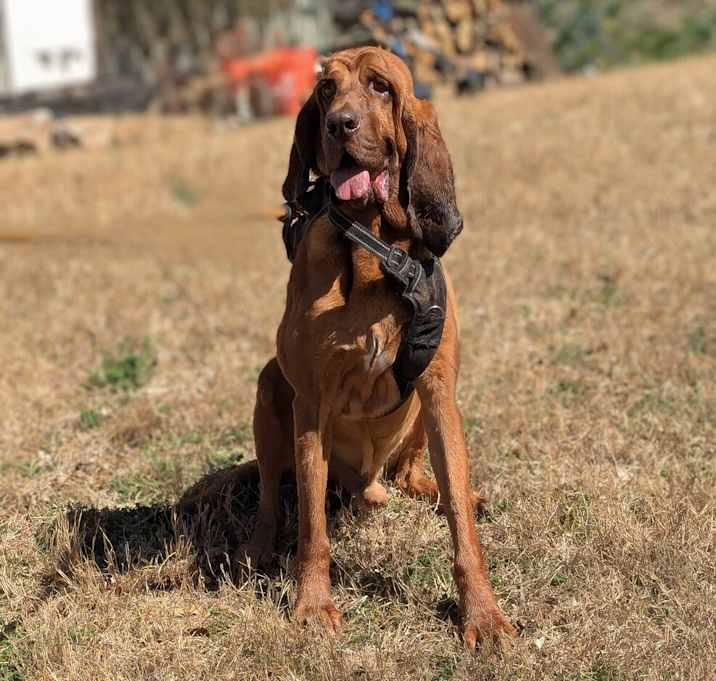 Photo of Zeus