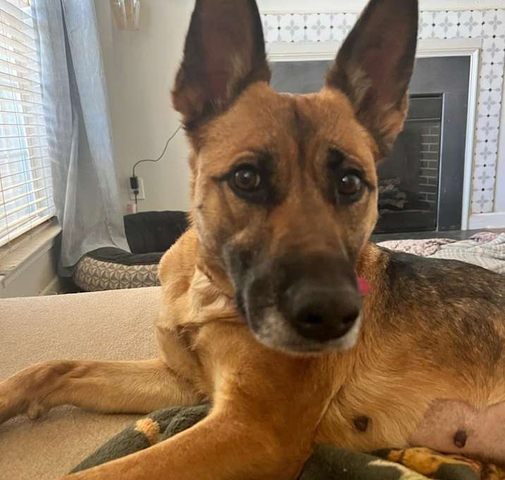 Photo of Ada