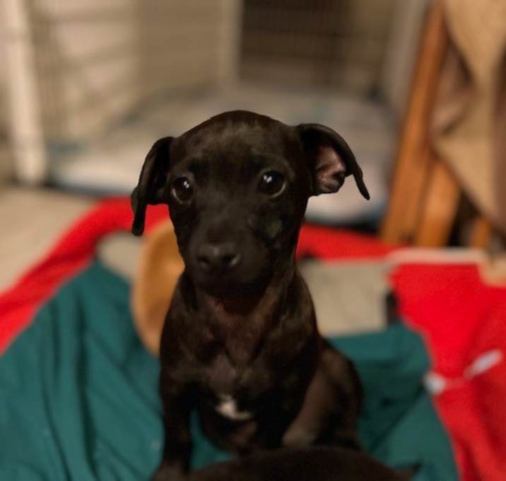Photo of Kevin