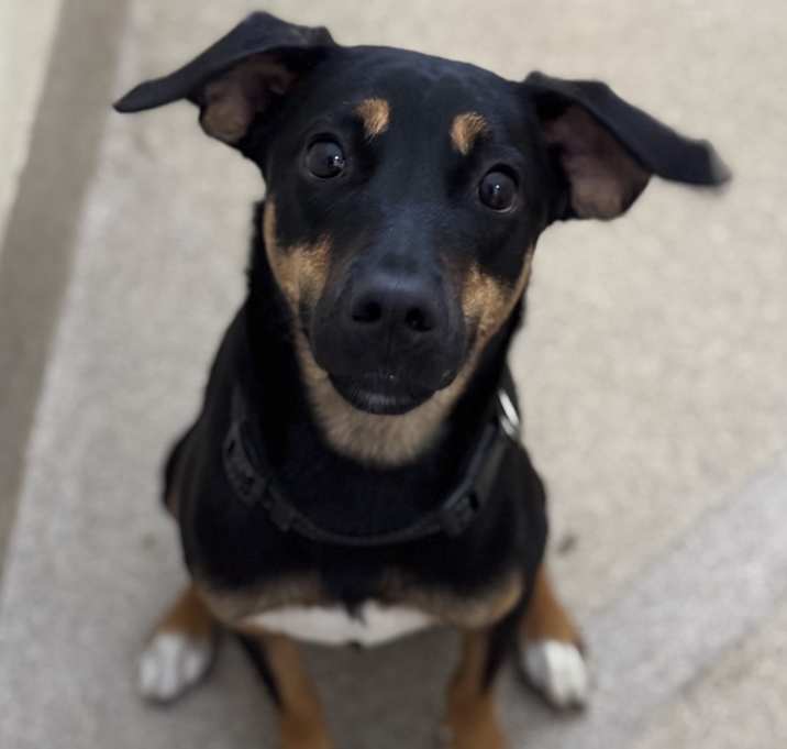 Photo of Reign