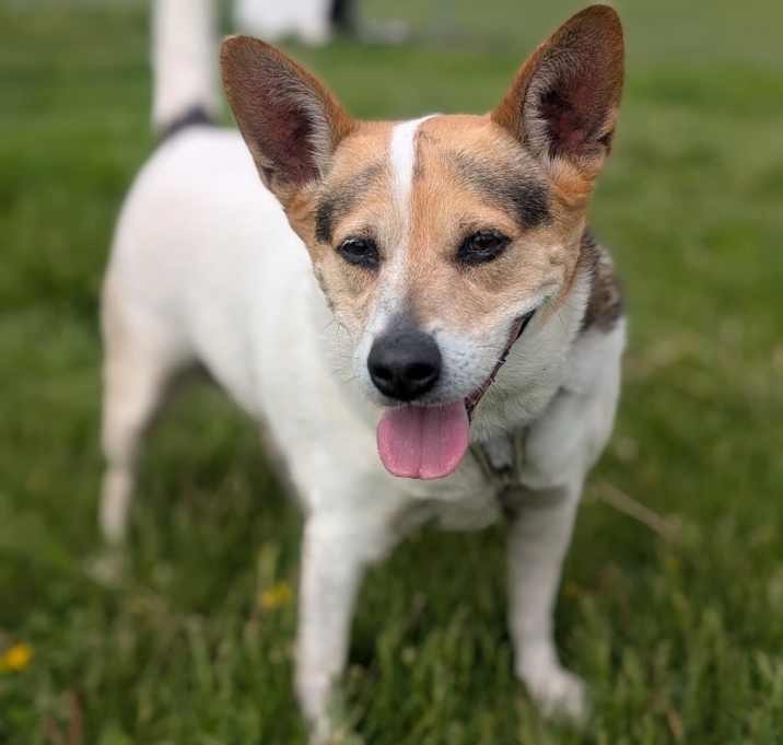 Photo of Greta
