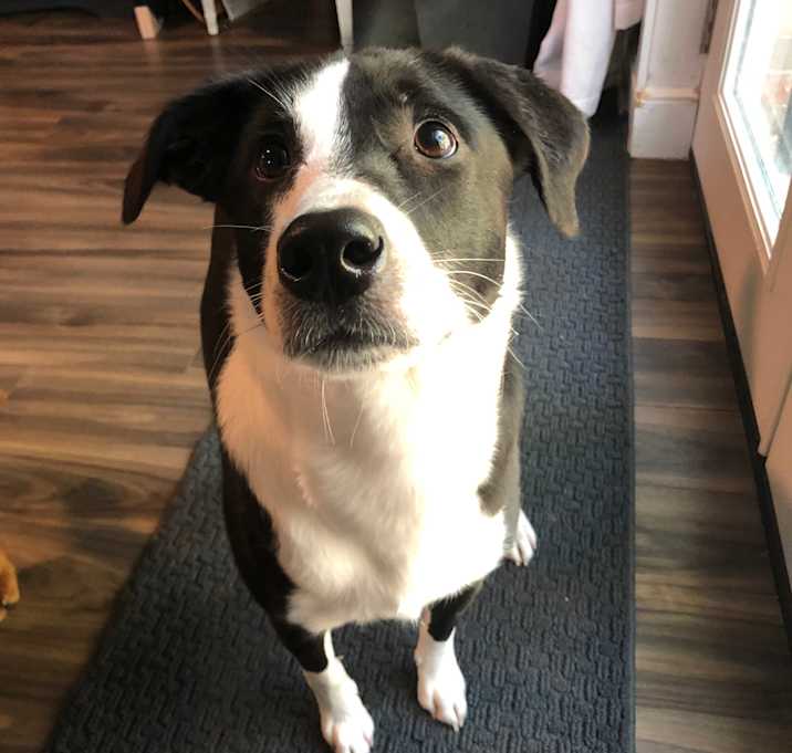 Photo of Ada