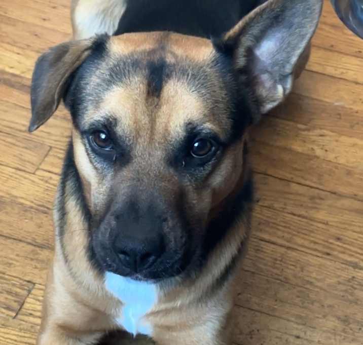 Photo of Winston