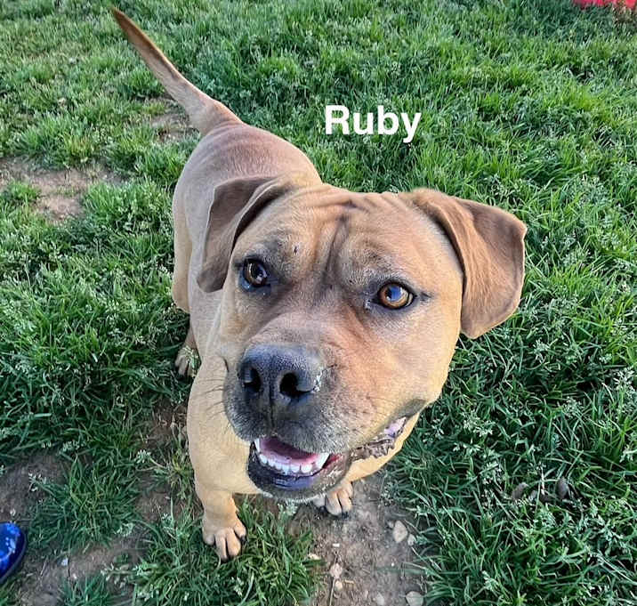 Photo of Ruby