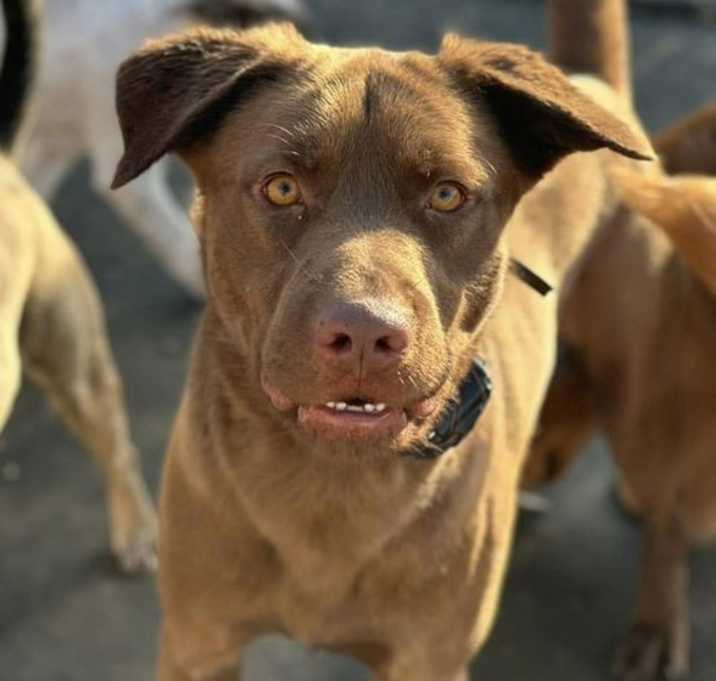 Photo of HERSHEY