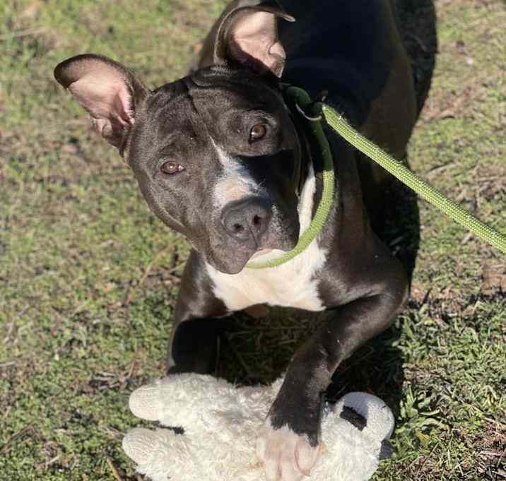 Photo of Bubba J