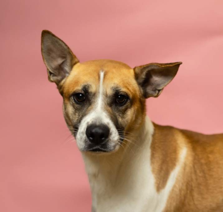 Photo of Rudy*