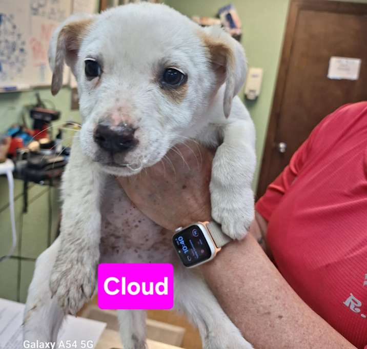 Photo of Cloud