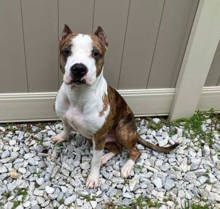 Photo of Tucker