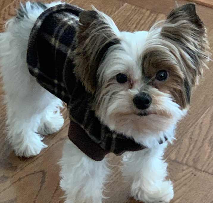 Photo of Max