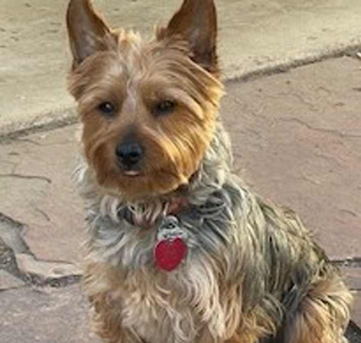 Photo of Topher (Max)