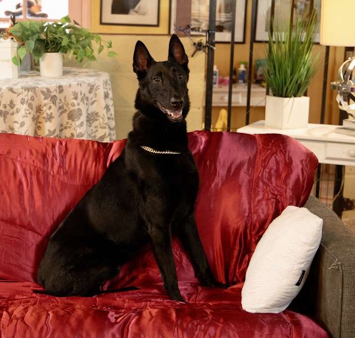 Photo of Milo