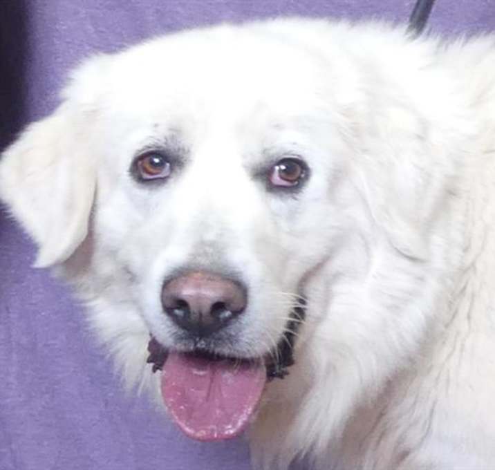 Photo of BONNIE