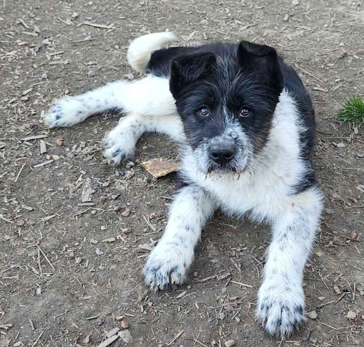 Photo of Moira