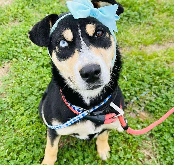 Photo of CHLOE