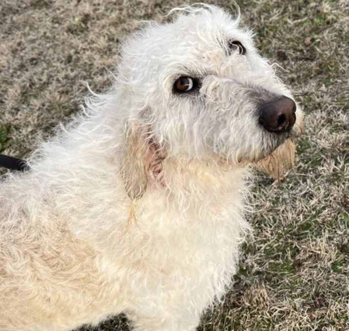 Photo of Charlie
