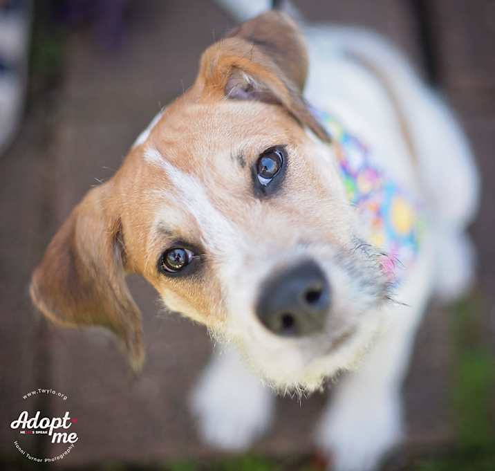Photo of Peppermint Patty