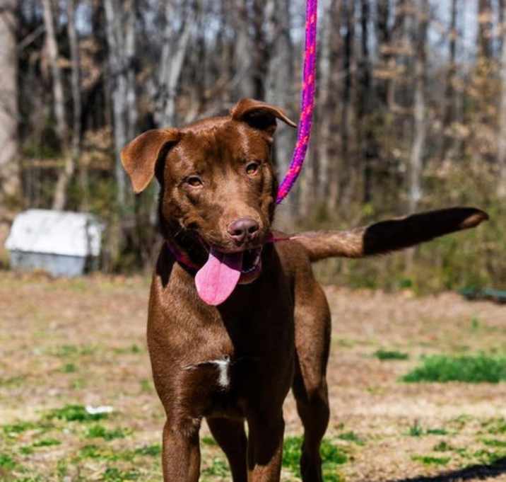 Photo of Copper