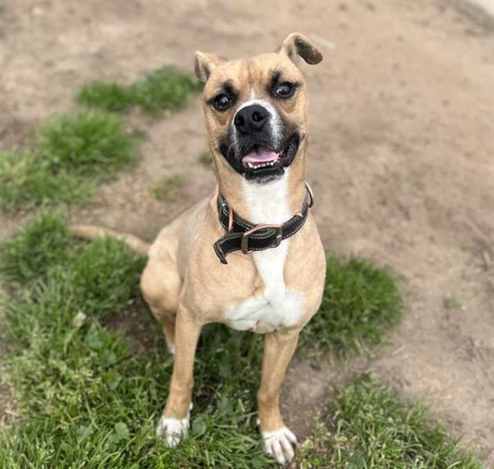 Photo of *PEANUT