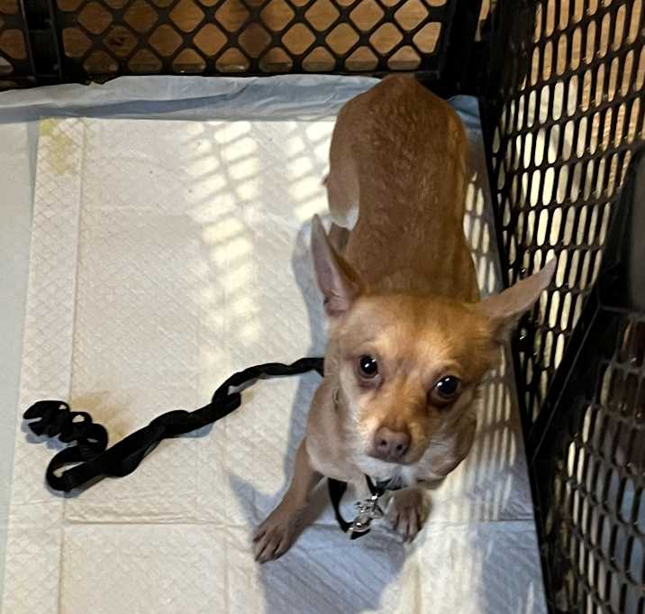 Photo of Tito