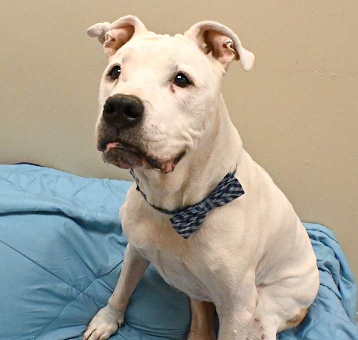 Photo of Hunter *Sponsored Senior