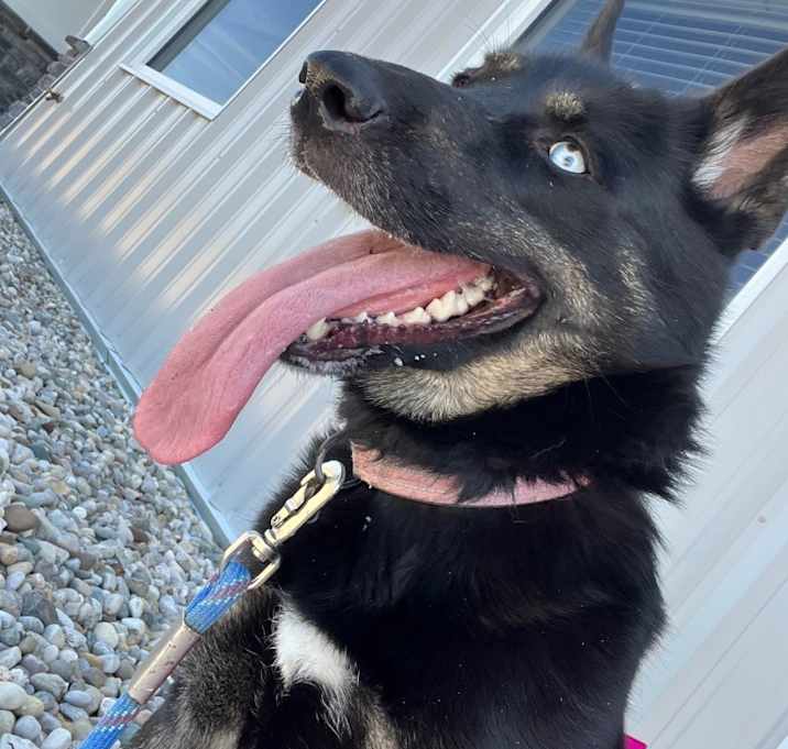 Photo of Nyx