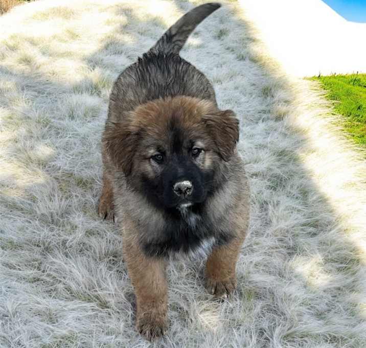 Photo of Smalls