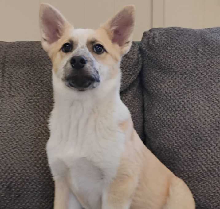 Photo of GINA