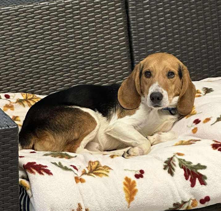 Photo of Howdy