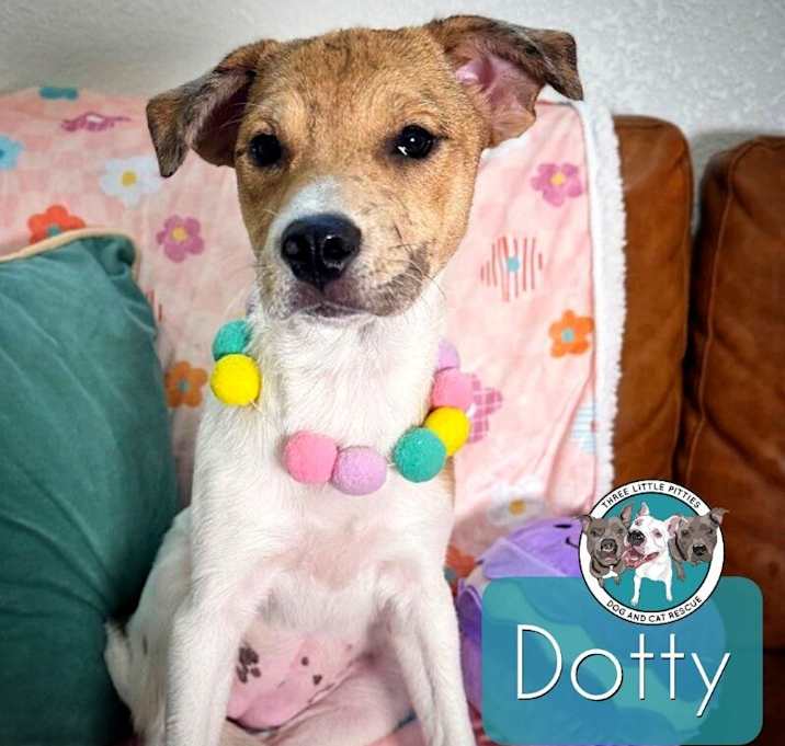 Photo of Dotty Cheeks