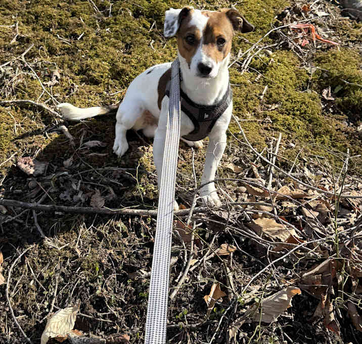 Photo of Burt