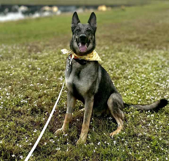 Photo of Sasha